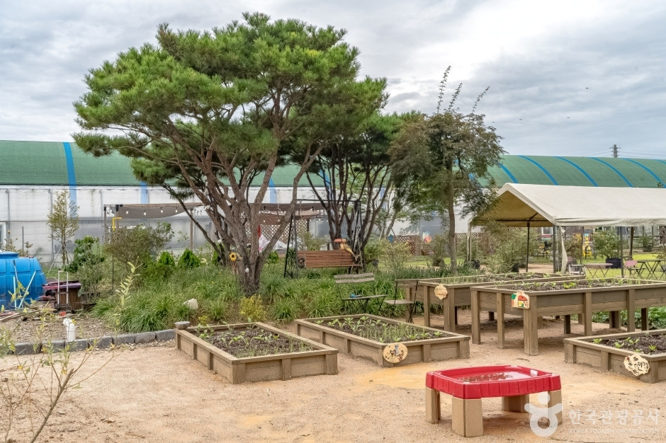 용인청정팜 여행 추천 - 로드트립