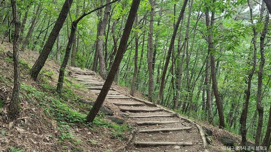 와룡산(대구) 여행 추천 - 로드트립