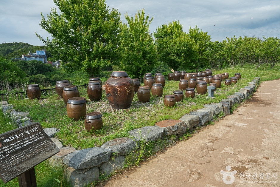 경인아라뱃길 매화동산 여행 추천 - 로드트립