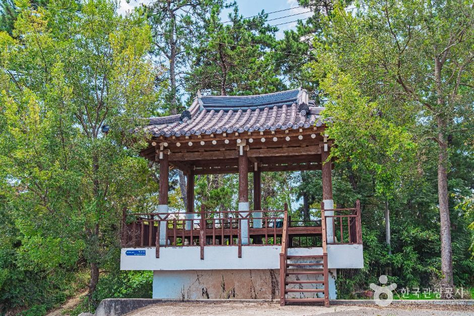 무안 하늘백련마을 여행 추천 - 로드트립