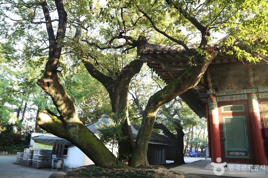 청량사(부산) 여행 추천 - 로드트립