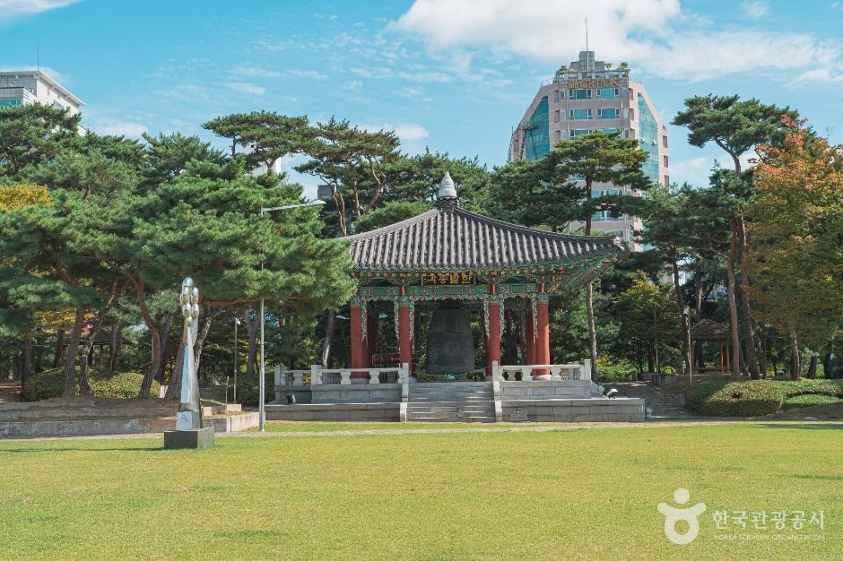 대전광역시청 시민잔디광장 여행 추천 - 로드트립