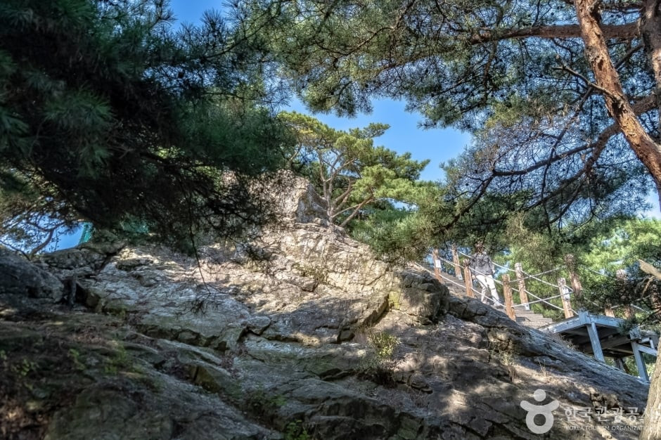 광교산 형제봉 여행 추천 - 로드트립