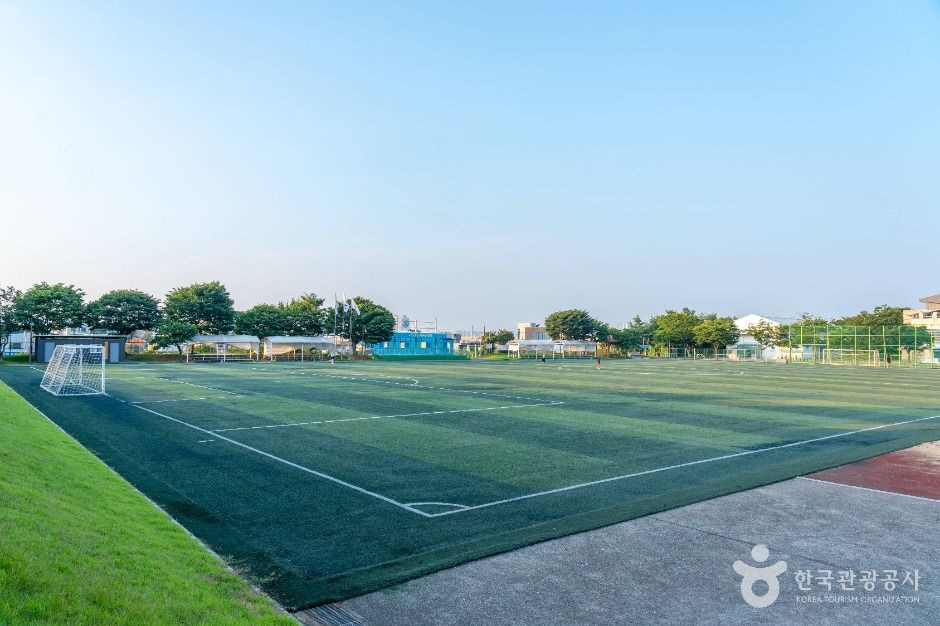 팽성레포츠공원 여행 추천 - 로드트립