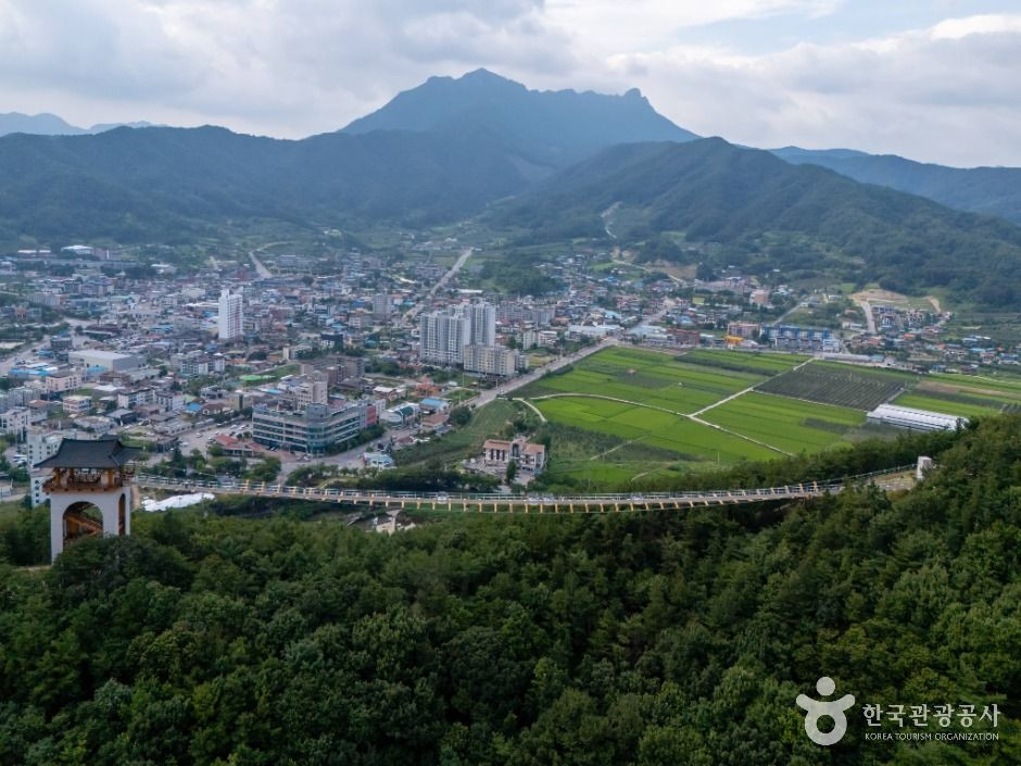 봉명산 출렁다리 여행 추천 - 로드트립