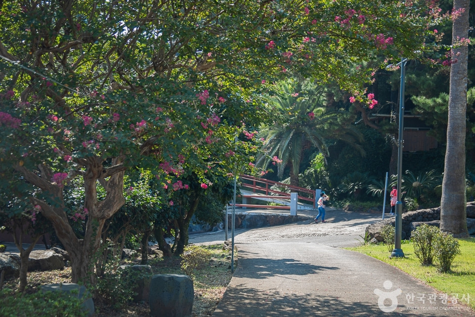 약천사(제주) 여행 추천 - 로드트립