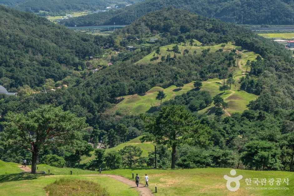 고령 지산동 고분군 여행 추천 - 로드트립