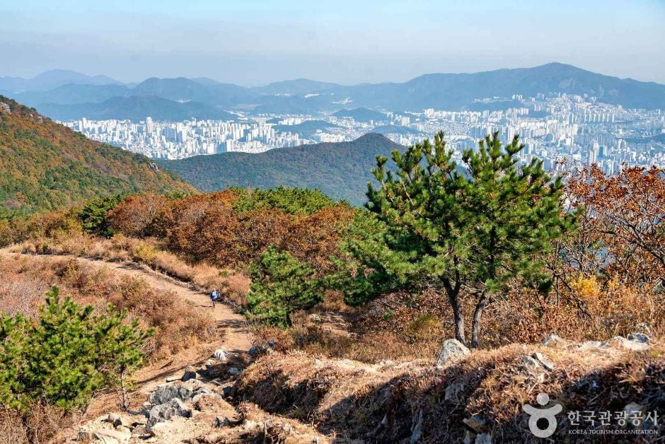 백양산 (부산 국가지질공원) 여행 추천 - 로드트립