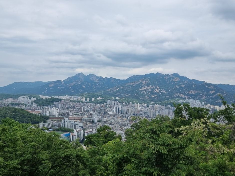 [서울둘레길 16코스] 봉산·앵봉산코스 여행 추천 - 로드트립