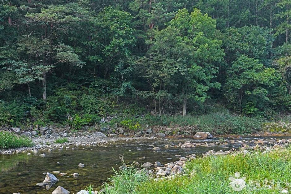 아침가리계곡 여행 추천 - 로드트립