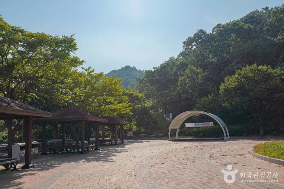 숲쟁이공원 여행 추천 - 로드트립