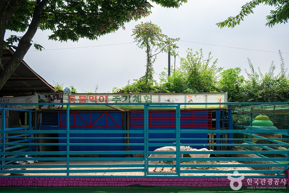 고양낙농치즈테마체험장 여행 추천 - 로드트립