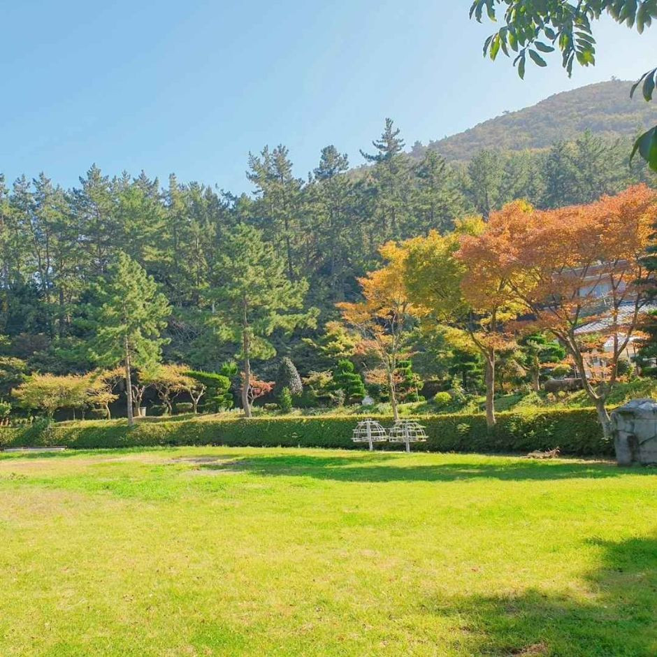 더불어숲 농업회사법인 여행 추천 - 로드트립