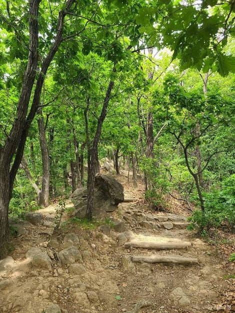 구룡산(서울) 여행 추천 - 로드트립