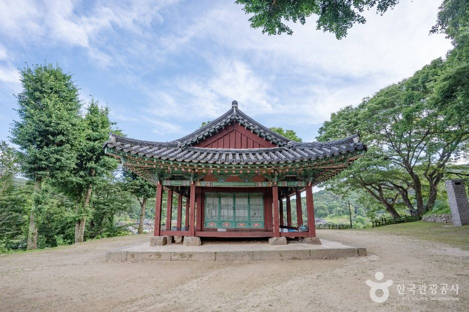 침괘정 여행 추천 - 로드트립
