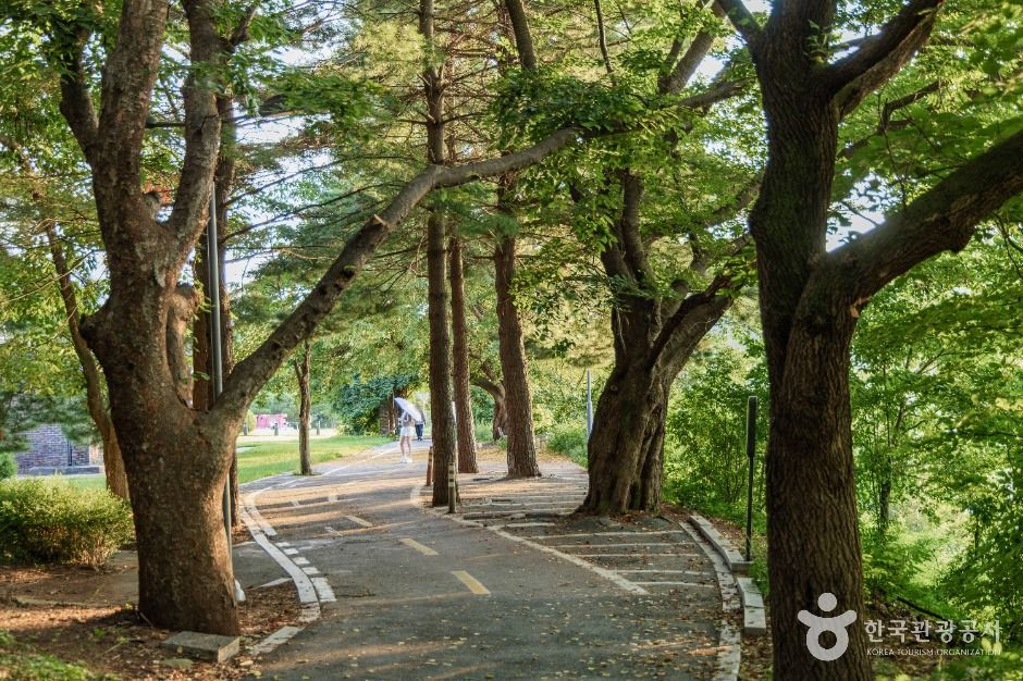춘천시 수변공원 여행 추천 - 로드트립