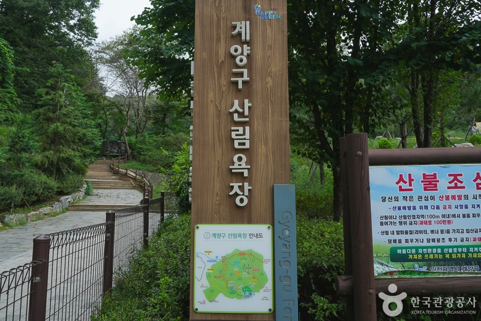 계양산 산림욕장 여행 추천 - 로드트립