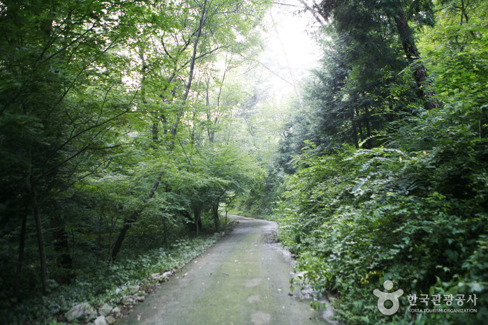 금성산(전남) 여행 추천 - 로드트립