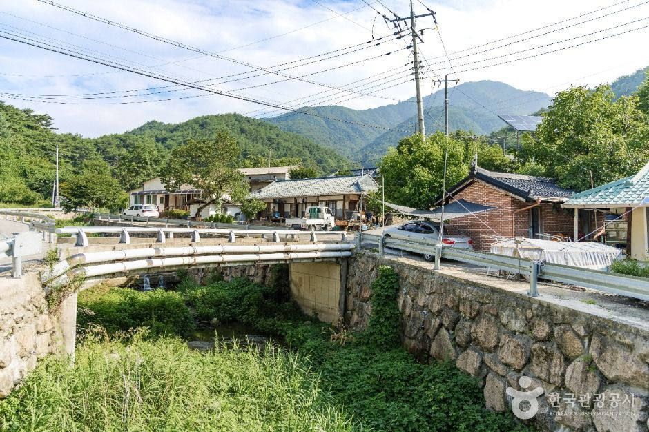 춘양목송이 정보화마을 여행 추천 - 로드트립