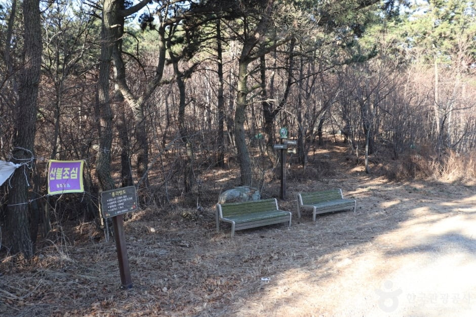 용골산 여행 추천 - 로드트립
