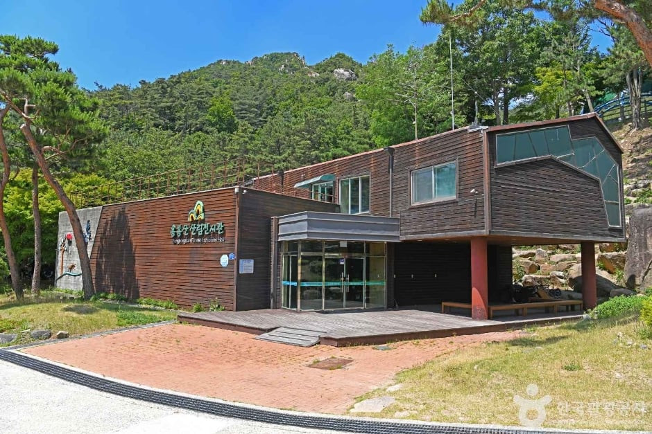 용봉산자연휴양림 여행 추천 - 로드트립