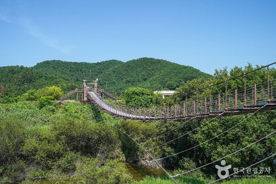 우포출렁다리 여행 추천 - 로드트립