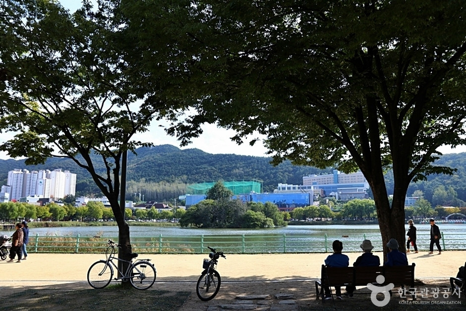 수성못상화동산 여행 추천 - 로드트립