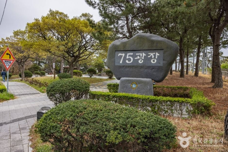 75광장 여행 추천 - 로드트립