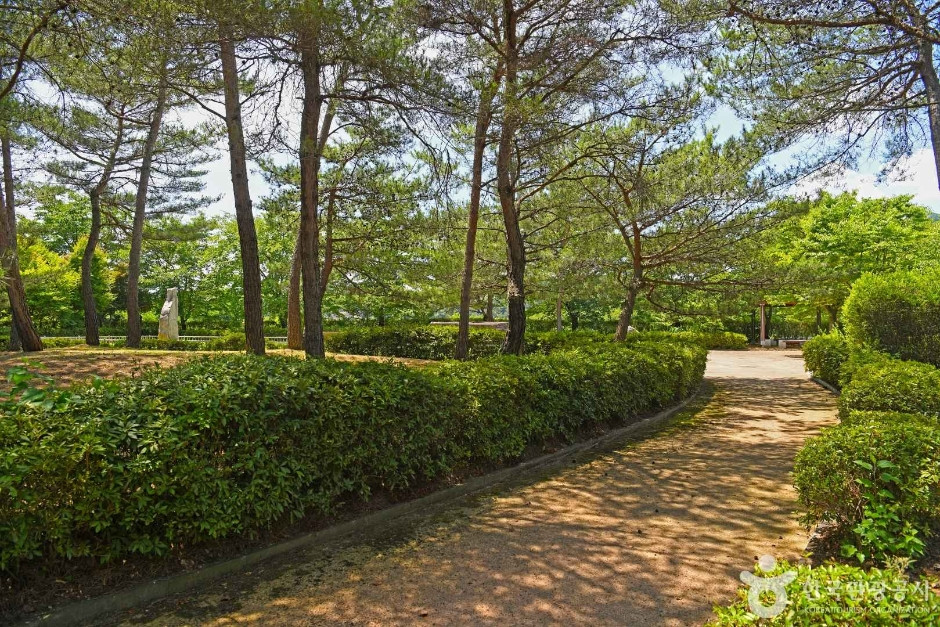 안터선사공원 여행 추천 - 로드트립