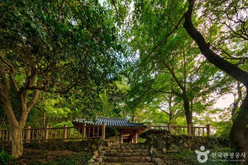 장흥 사인정 여행 추천 - 로드트립