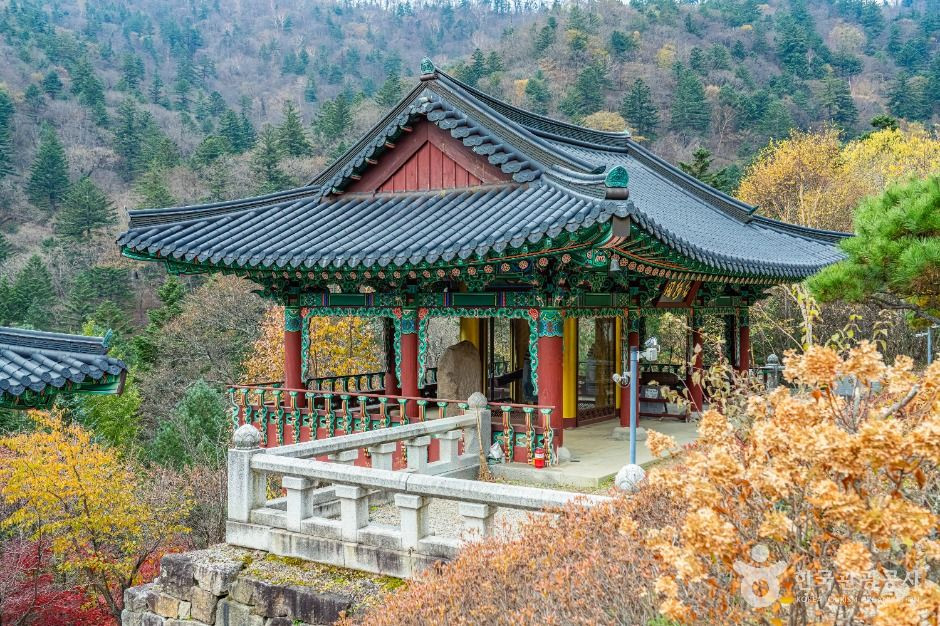 상원사 동종 여행 추천 - 로드트립