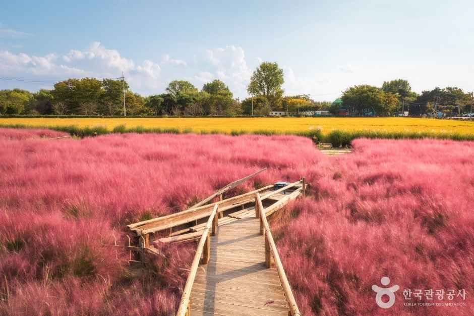 바람새마을 여행 추천 - 로드트립