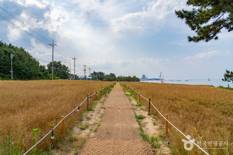 순긋해변 여행 추천 - 로드트립