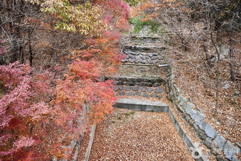 흑석산 자연휴양림 여행 추천 - 로드트립