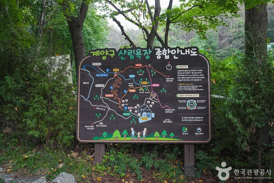 계양산 산림욕장 여행 추천 - 로드트립