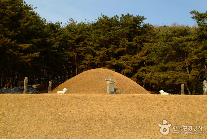 전사벌왕릉 여행 추천 - 로드트립