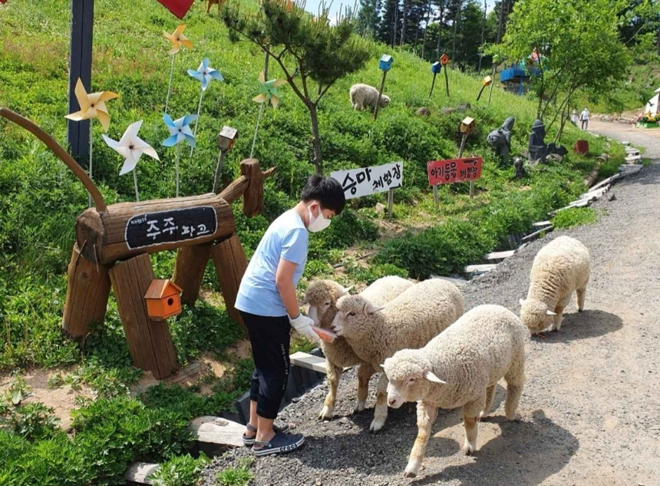 대관령 주주파크 여행 추천 - 로드트립