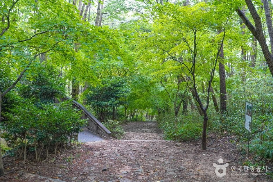 백양산 웰빙숲 여행 추천 - 로드트립
