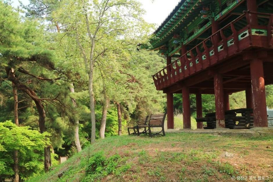 [효석문학100리길 1코스] 문학의 길 여행 추천 - 로드트립