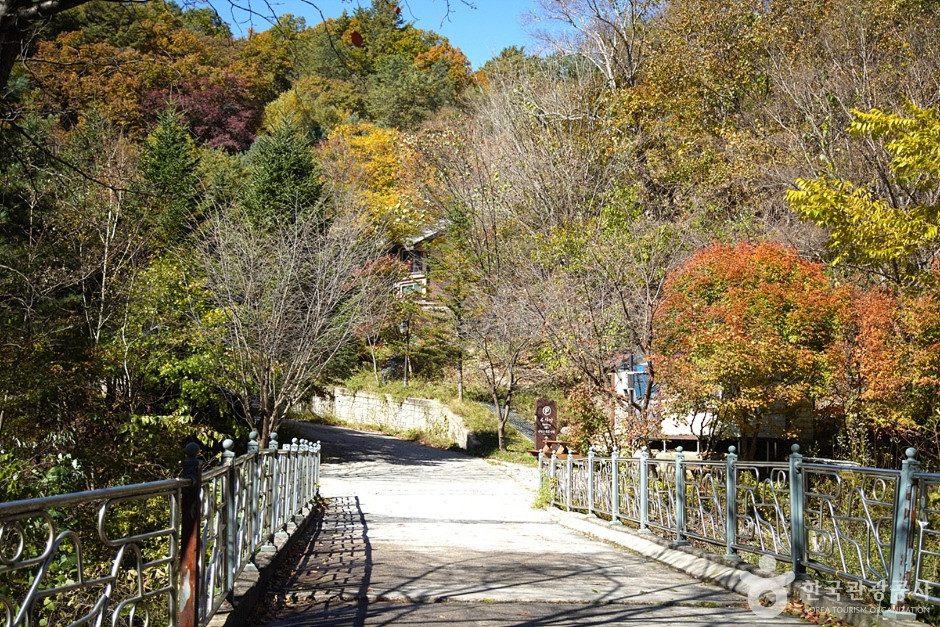 국립 복주산자연휴양림 여행 추천 - 로드트립