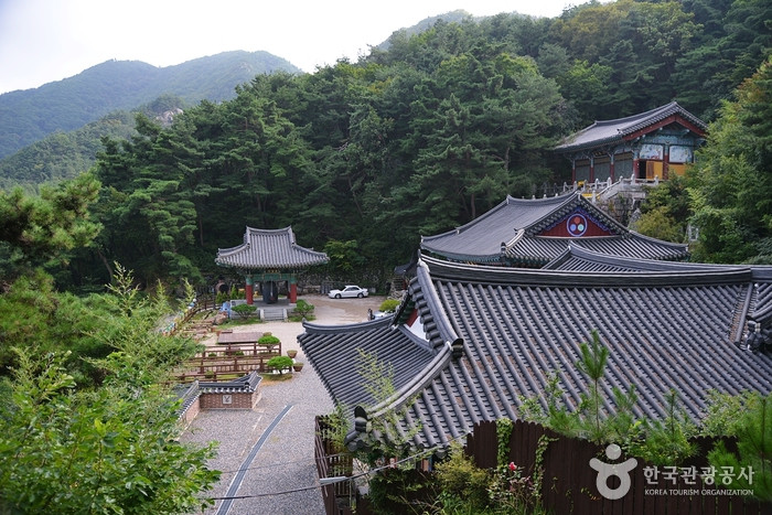 용암사(옥천) 여행 추천 - 로드트립