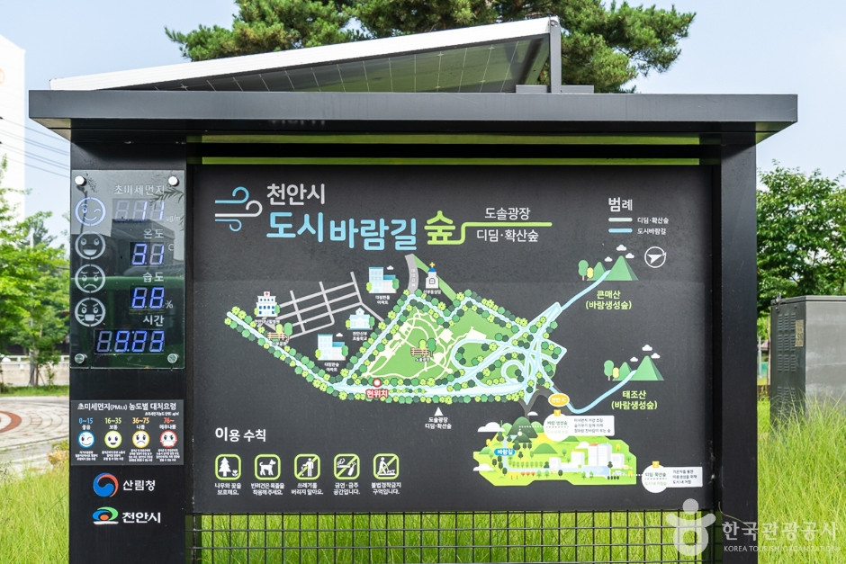 도솔광장 여행 추천 - 로드트립