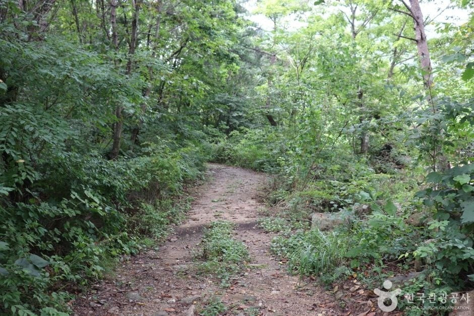 악휘봉 여행 추천 - 로드트립