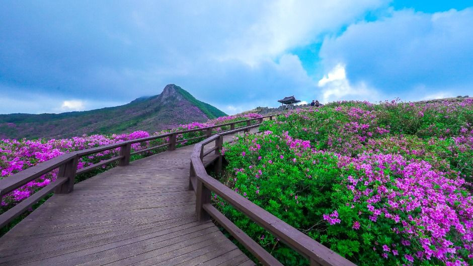 황매산(산청) 여행 추천 - 로드트립