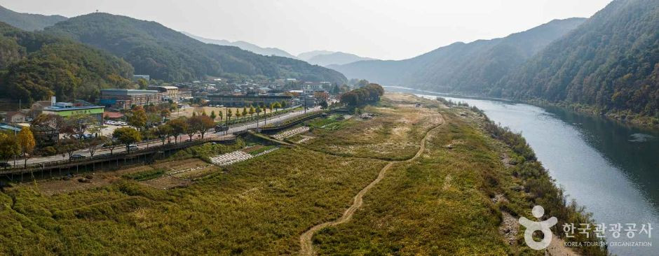 고운골 남한강 갈대숲 여행 추천 - 로드트립