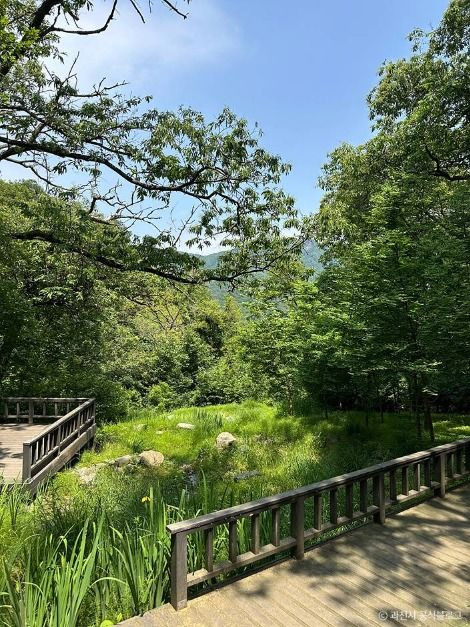 서울대공원 산림욕장 여행 추천 - 로드트립