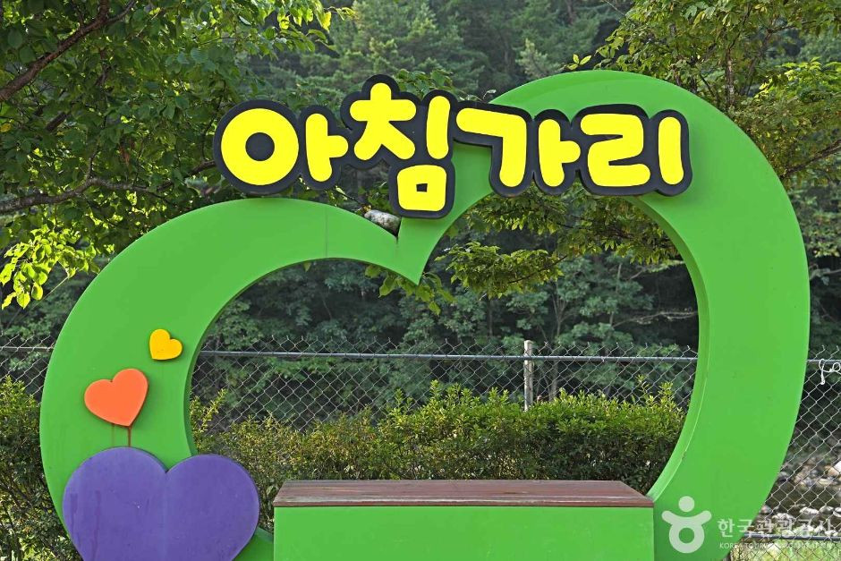 아침가리계곡 여행 추천 - 로드트립