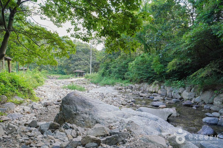 한재골 계곡 여행 추천 - 로드트립
