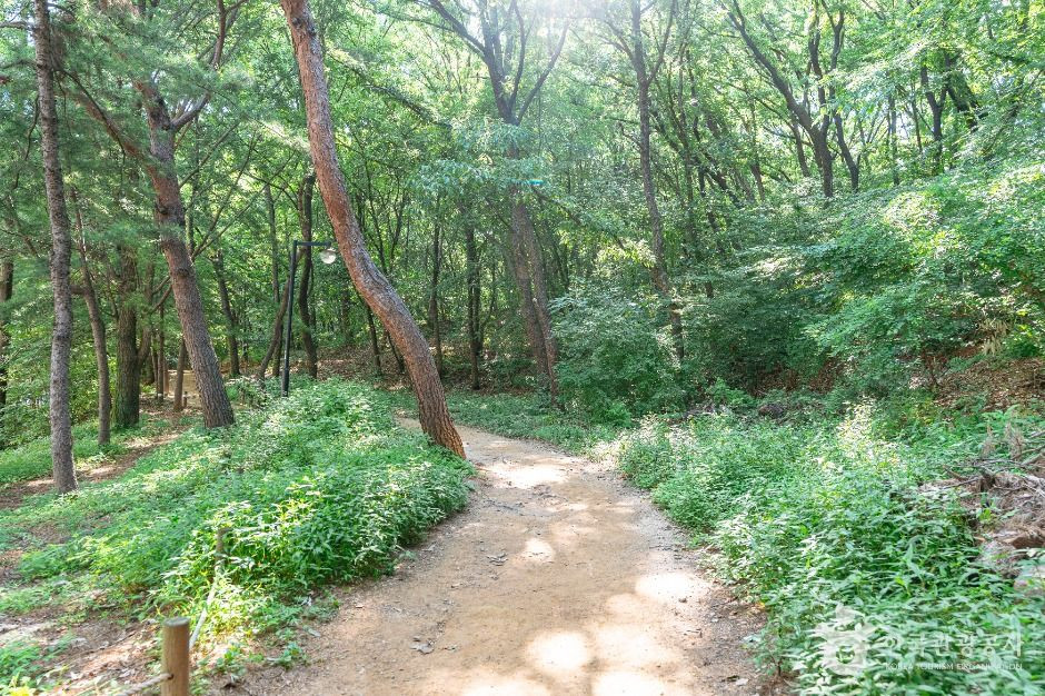 정발산공원 여행 추천 - 로드트립