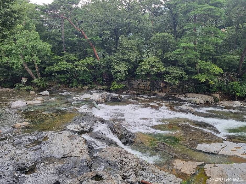 표충사 계곡 여행 추천 - 로드트립